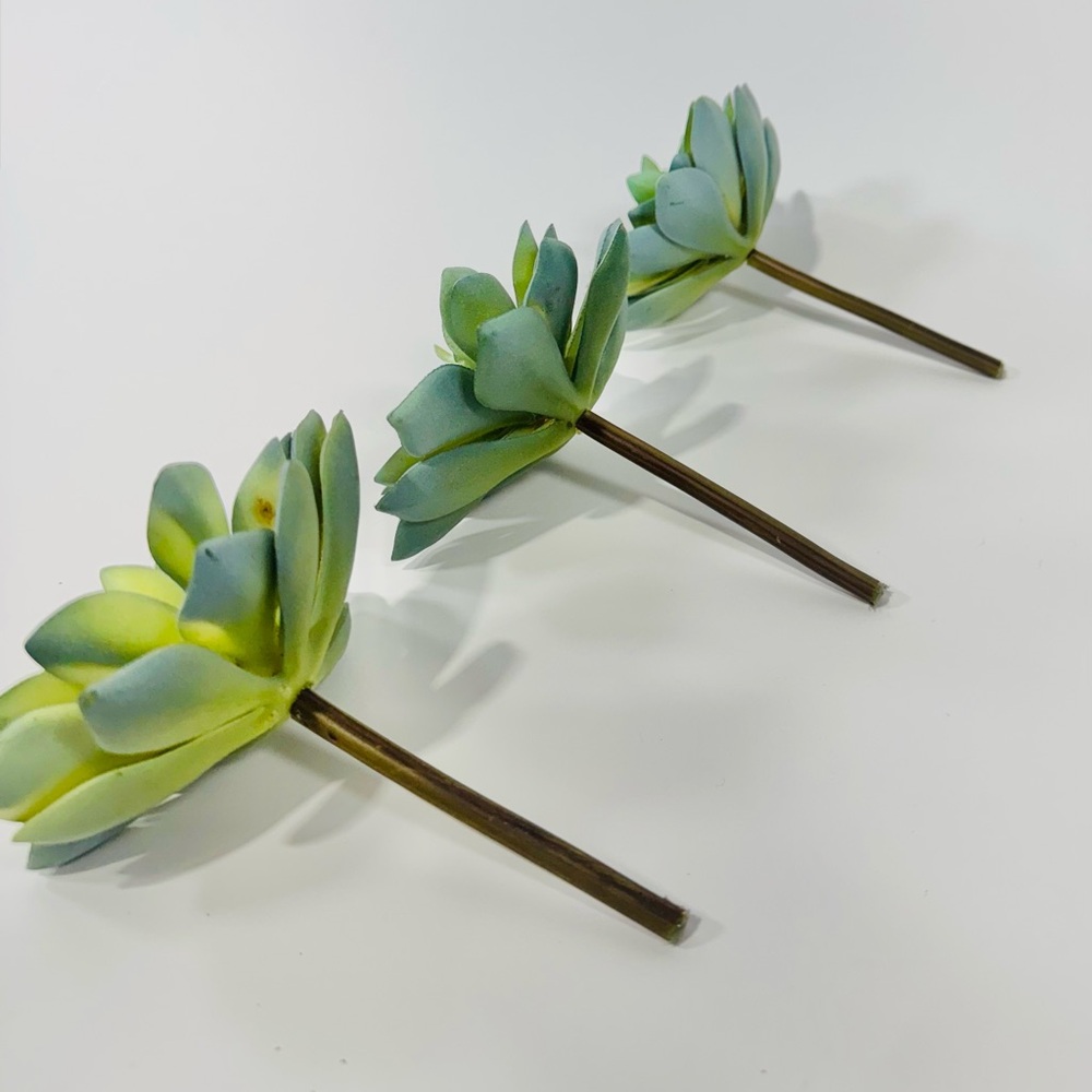 Faux Succulents (3x) - Picture 8 of 9